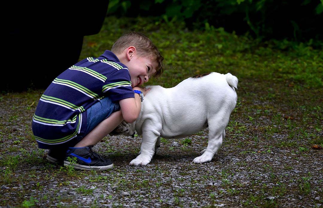 Niño con perro en el parque